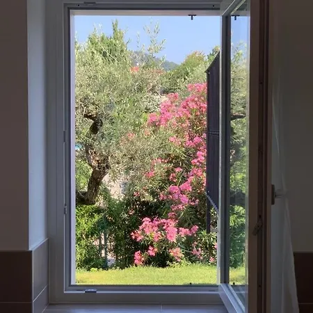 Apartament Casa Mitila