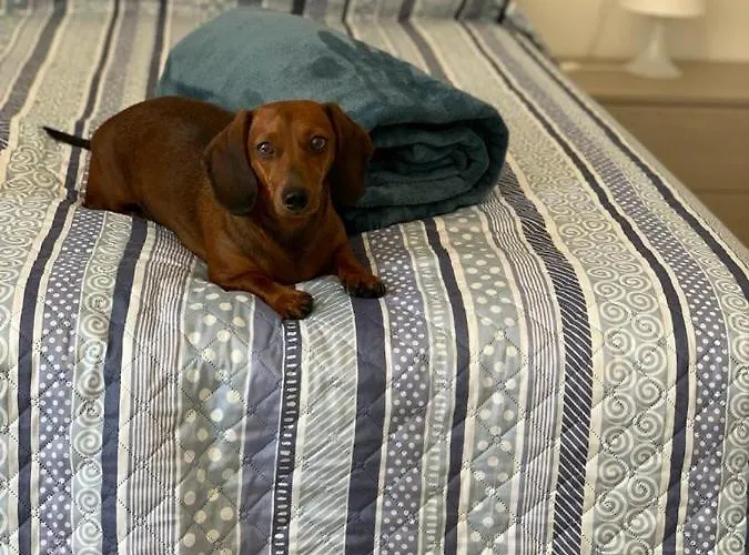 Casa Mitila Lägenhet