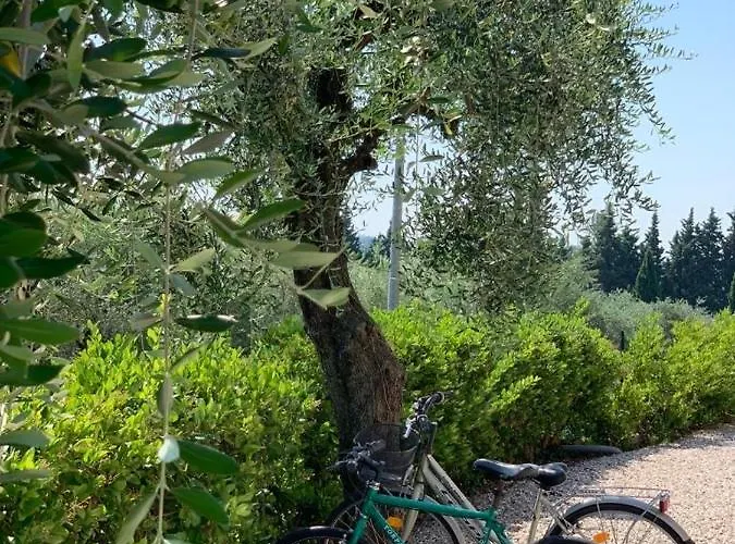 Casa Mitila ברדולינו